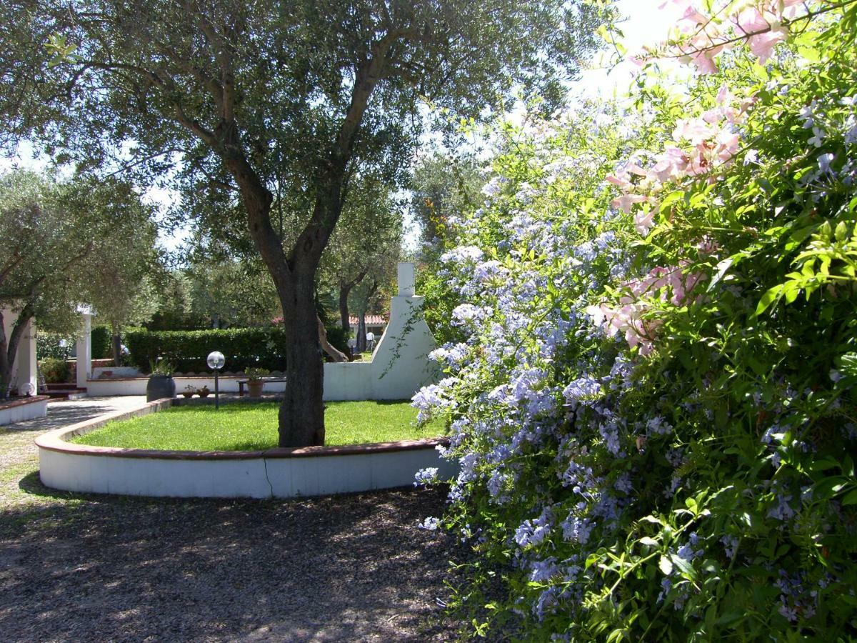 Villa Sarda 索尔索 外观 照片
