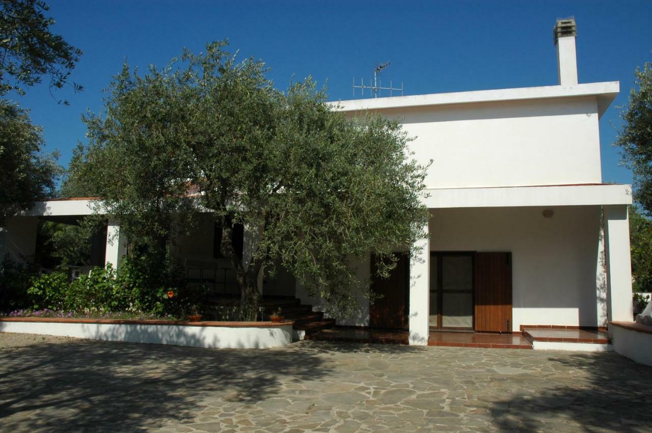 Villa Sarda 索尔索 外观 照片